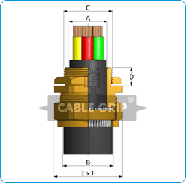 Section of Cable Gland on the Basis of Cable for Double Compression Cable  Gland for Armoured Cables, Domestic Cable Glands, Products, Cablegrip  Industries - Jamnagar