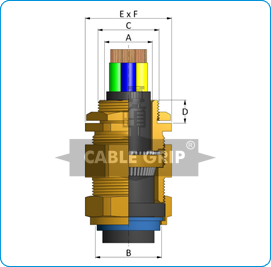 CW Cable Glands - Drawing